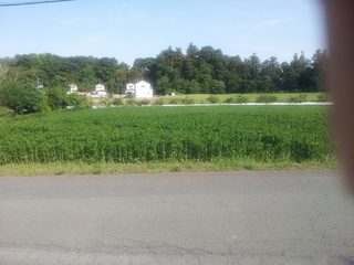 20140530_160126.jpg