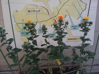 20140606_171143.jpg