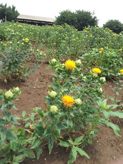 20140609_111058.jpg