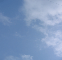 IMG_0828.GIF